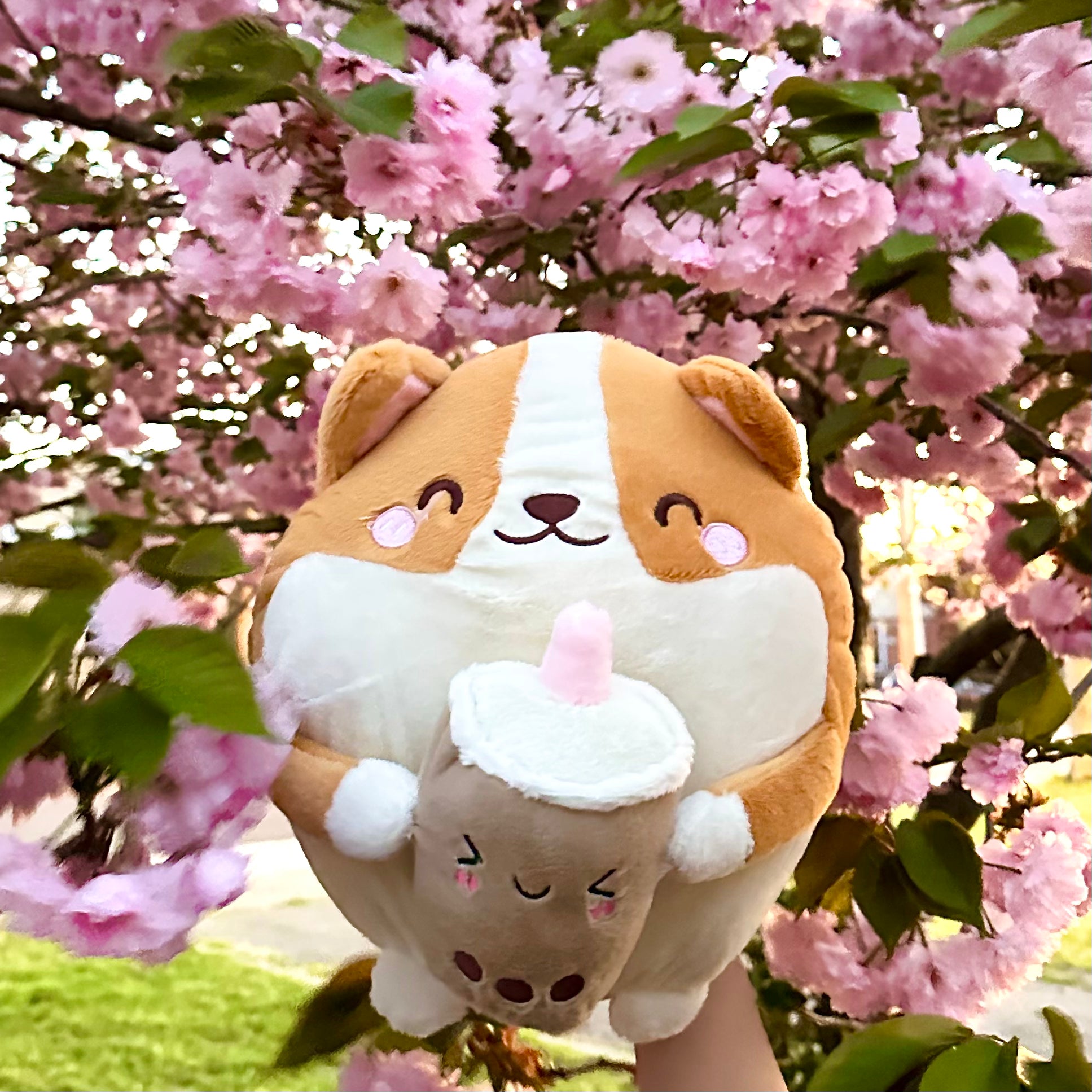 Boba corgi plush online